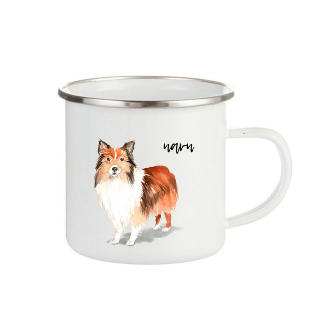 Hovedbilde Shetland sheepdog