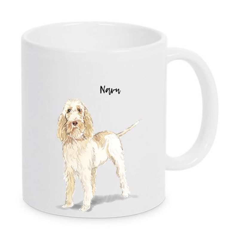 kopp Italiensk spinone