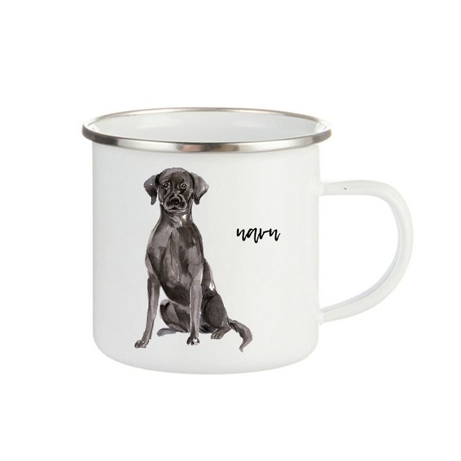 Hovedbilde Labrador svart
