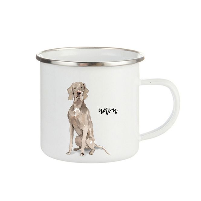 Hovedbilde Weimaraner