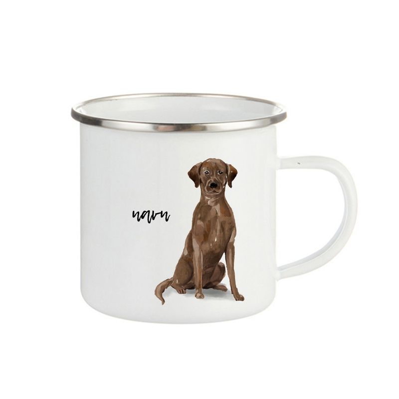 kopp-labrador-brun